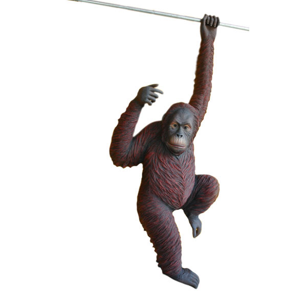 Orangutan Hanging