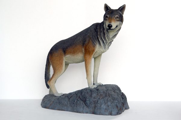 WOLF ON ROCK