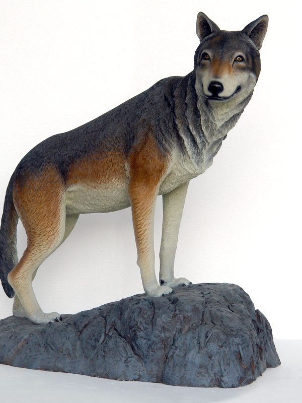 WOLF ON ROCK