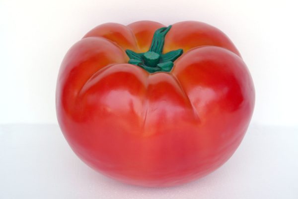TOMATO