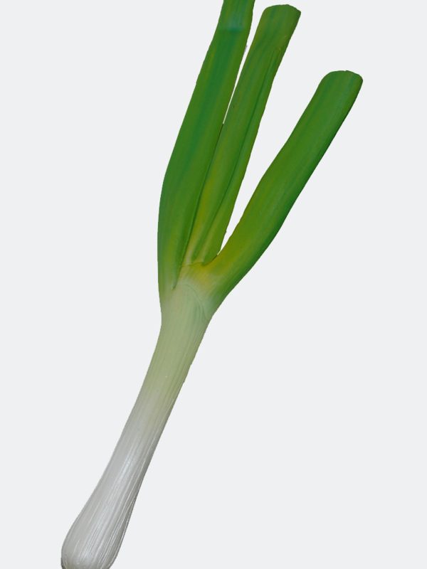 LEEK