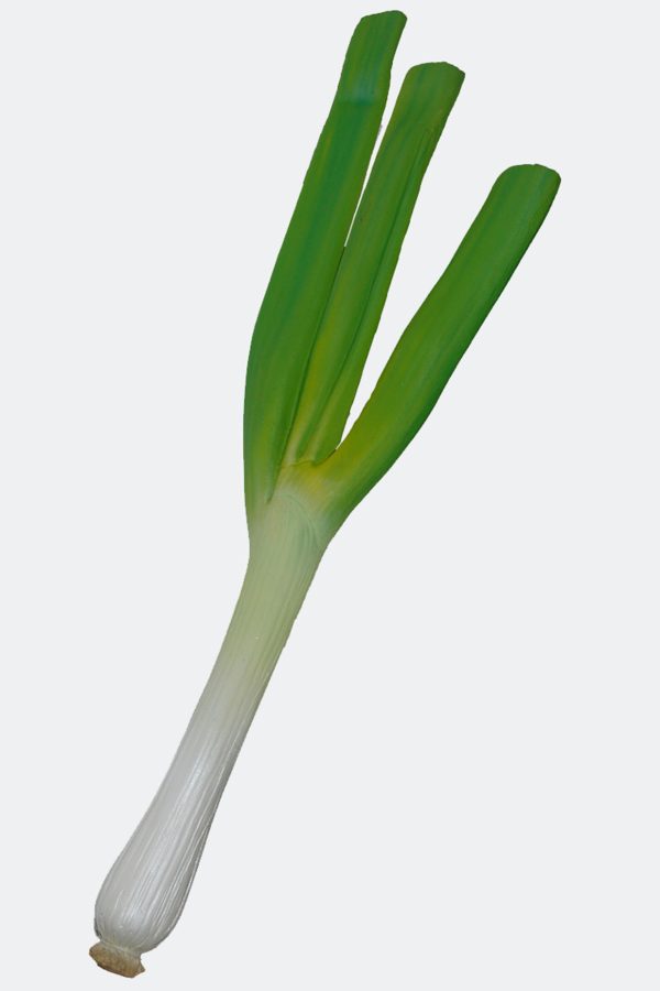 LEEK