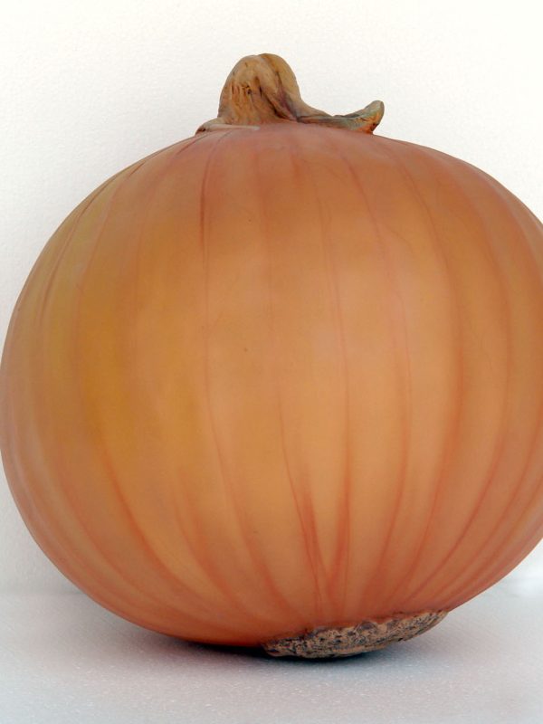 ONION