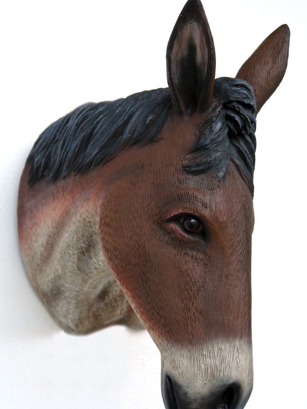 DONKEY HEAD