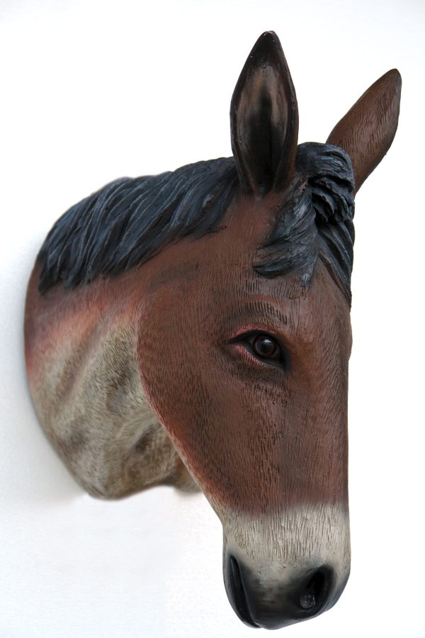 DONKEY HEAD