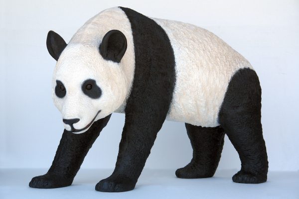 PANDA WALKING