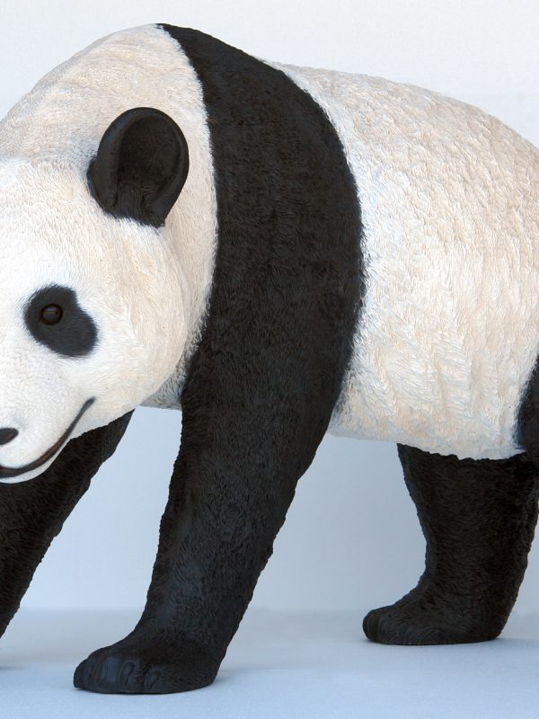 PANDA WALKING