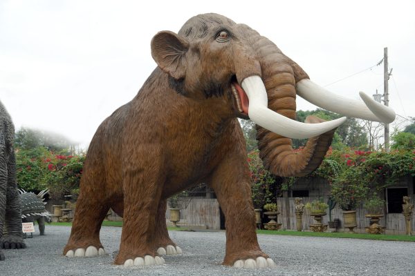 MAMMOTH