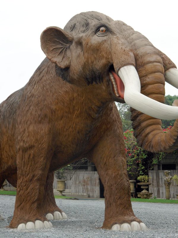 MAMMOTH