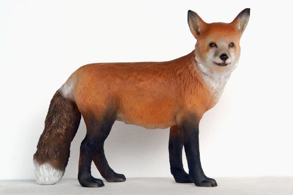 FOX