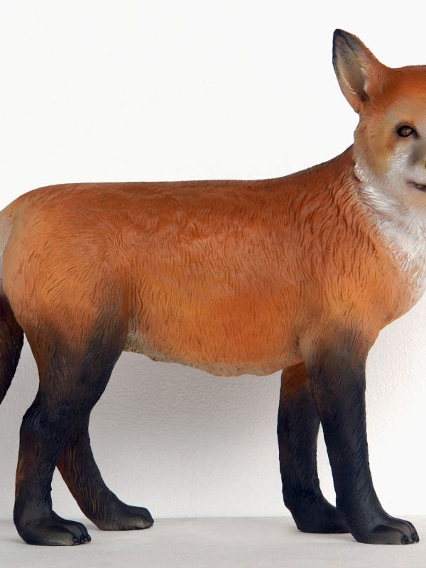 FOX