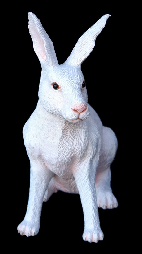 HARE