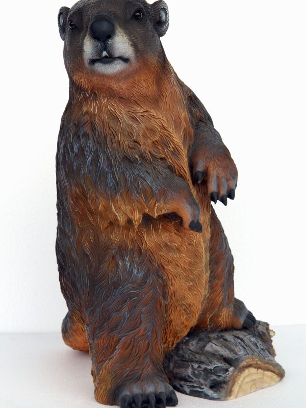 BEAVER