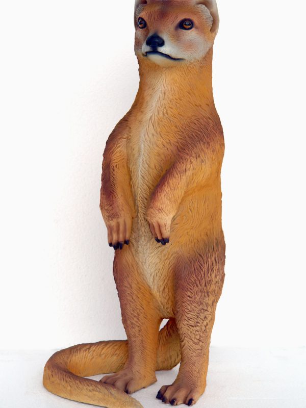 MONGOOSE