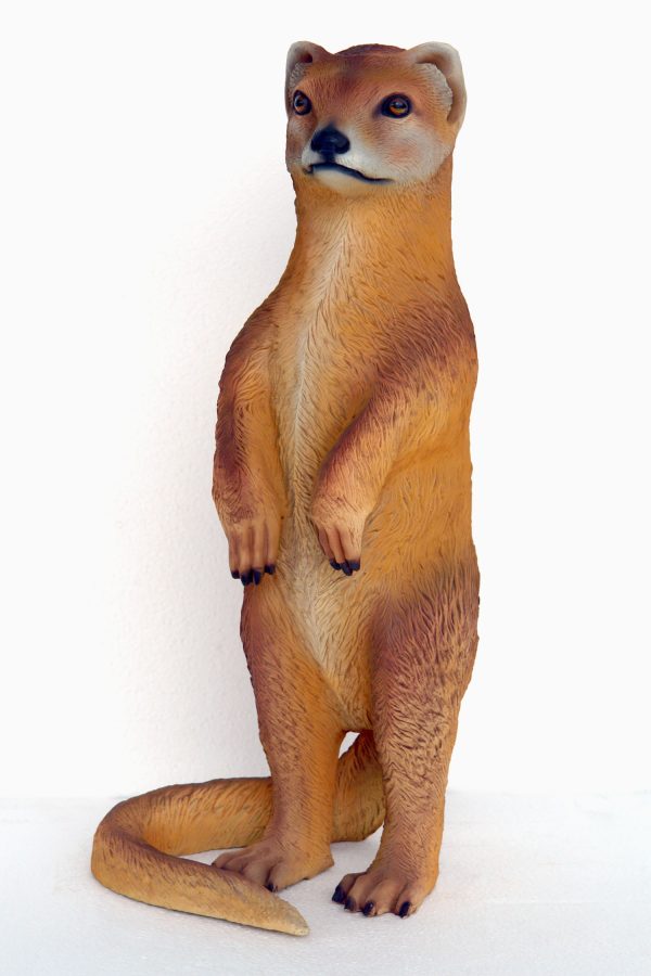 MONGOOSE