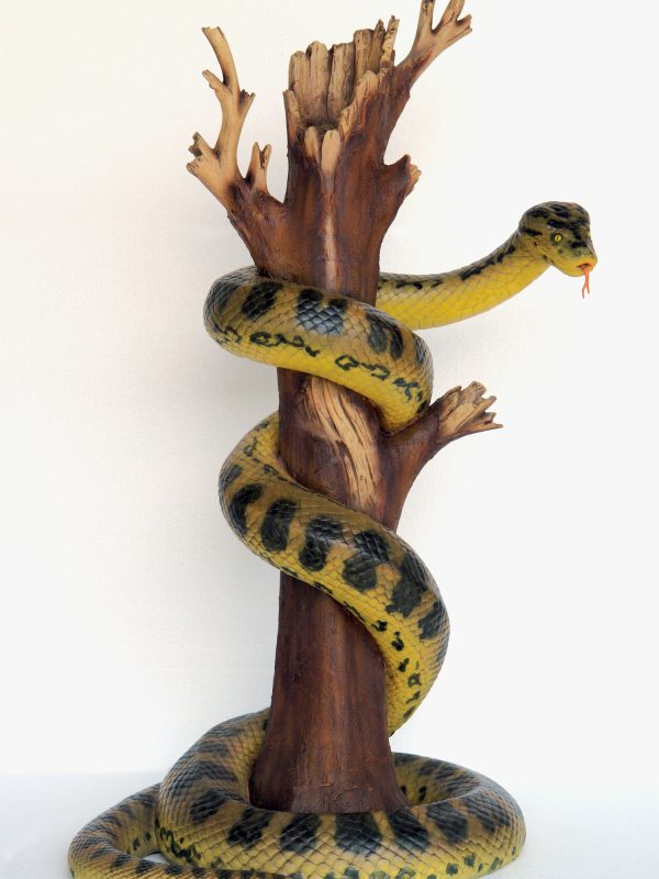 ANACONDA ON TREE