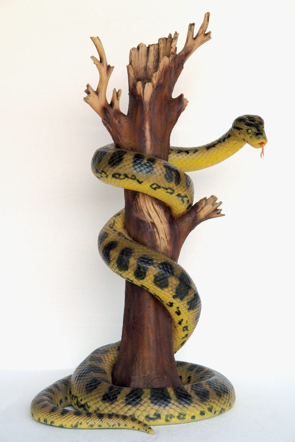 ANACONDA ON TREE