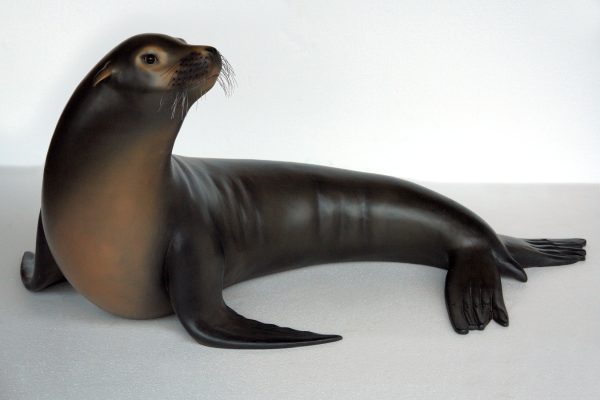 SEA LION