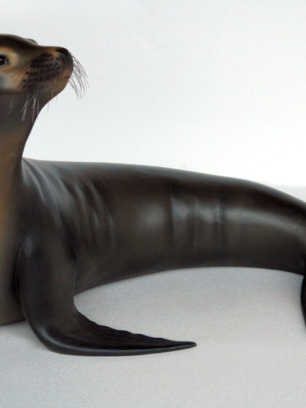 SEA LION