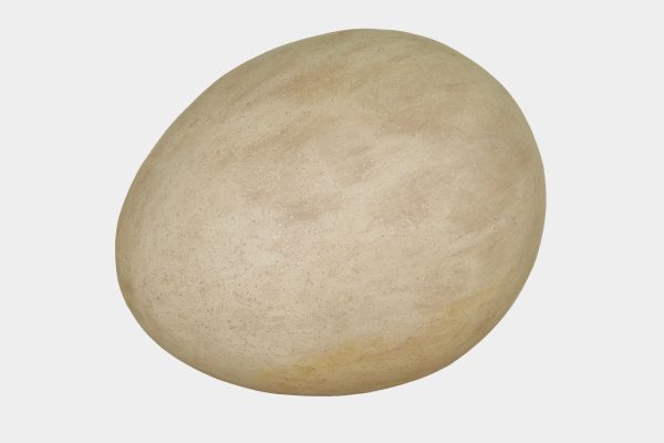 DINO EGG