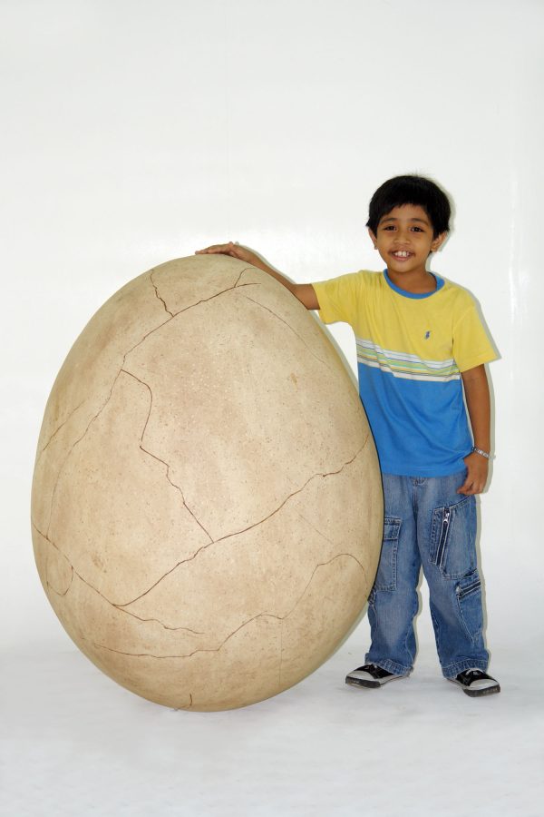 DINO EGG WITH CRACK