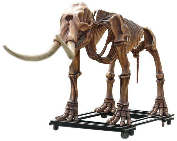 MASTODON SKELETON