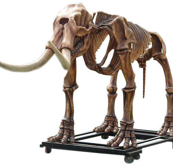 MASTODON SKELETON