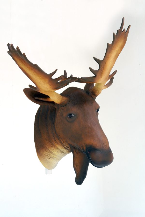 MOOSE HEAD (life-size)