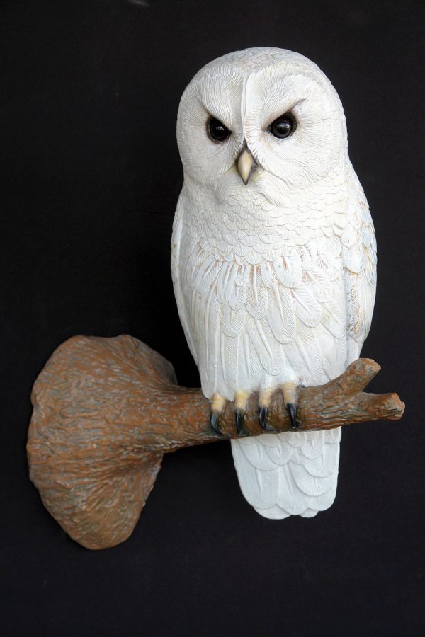 OWL ON TREE BRANCH
