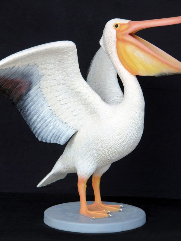 PELICAN (LIFE SIZE)