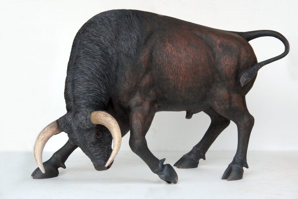 BULL