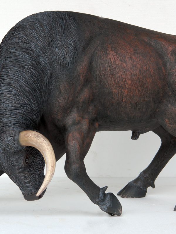 BULL