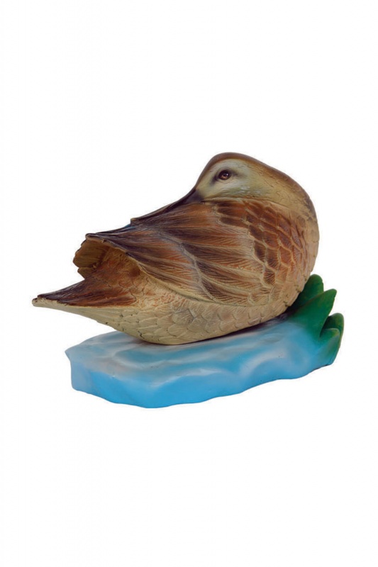 DUCK SITTING