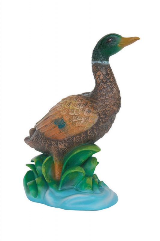 DUCK STANDING