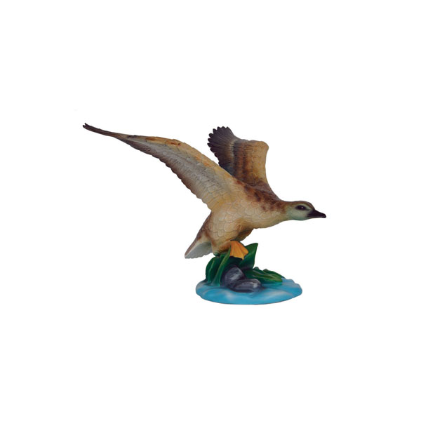 DUCK TAKING OFF