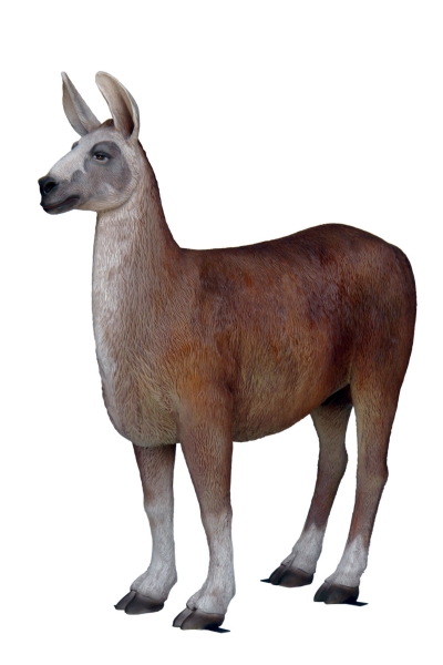 LAMA