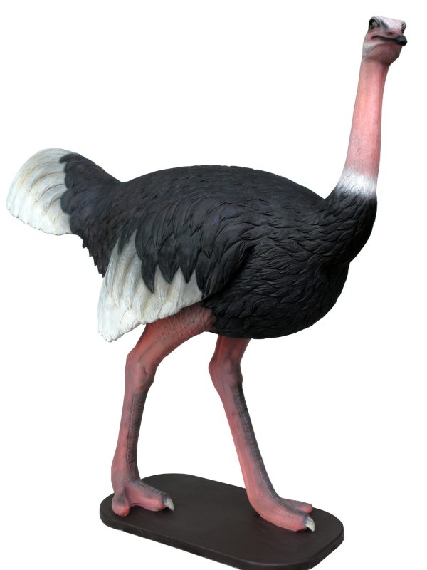 OSTRICH