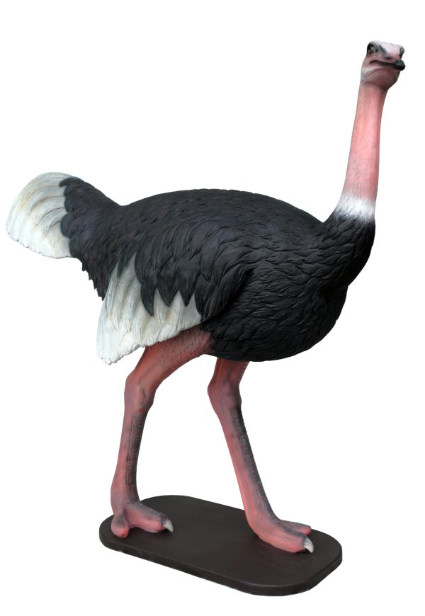 OSTRICH