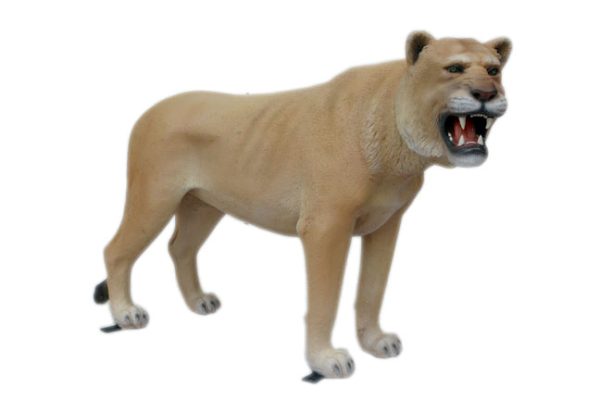 LIONESS