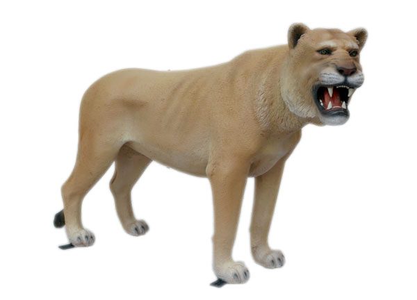 LIONESS