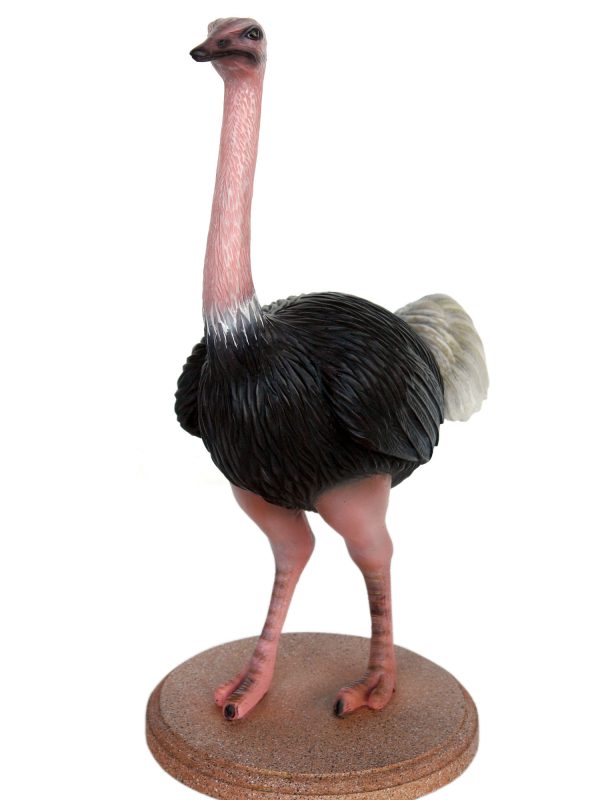 OSTRICH (2 FT)