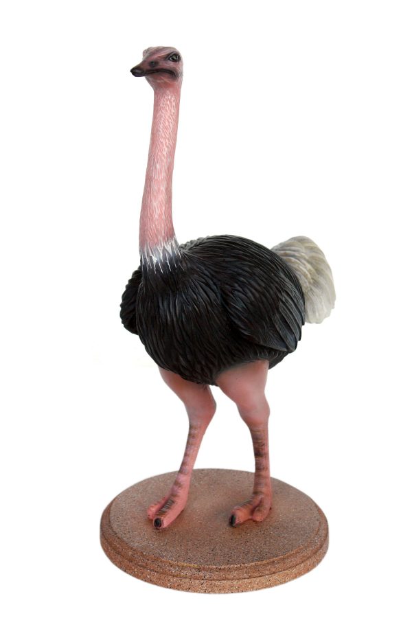 OSTRICH (2 FT)