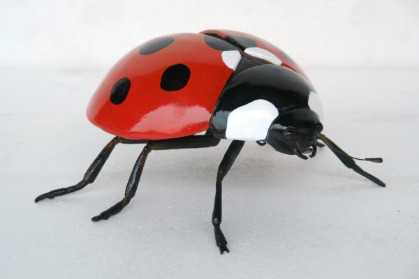 LADY BUG BEETLE