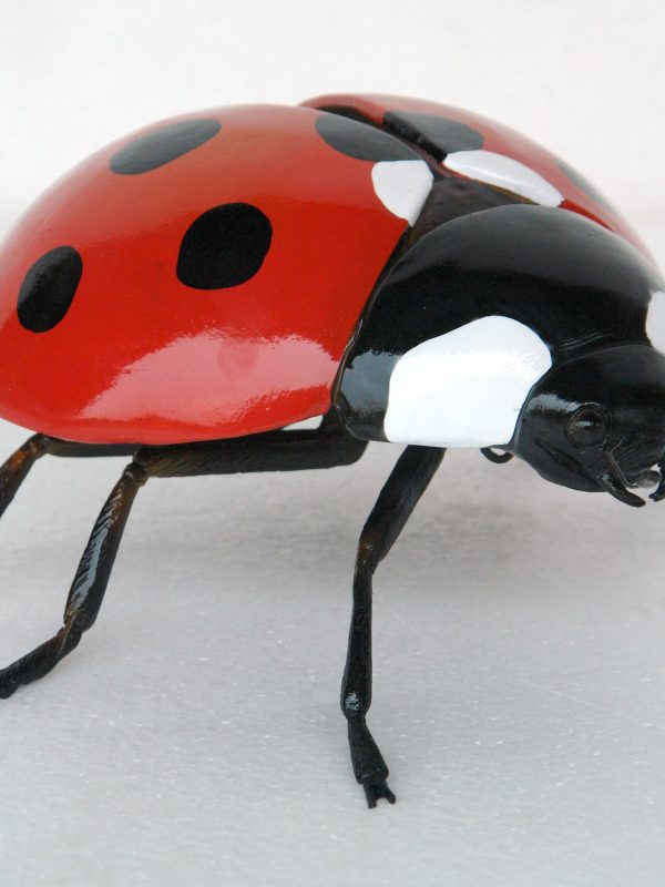 LADY BUG BEETLE