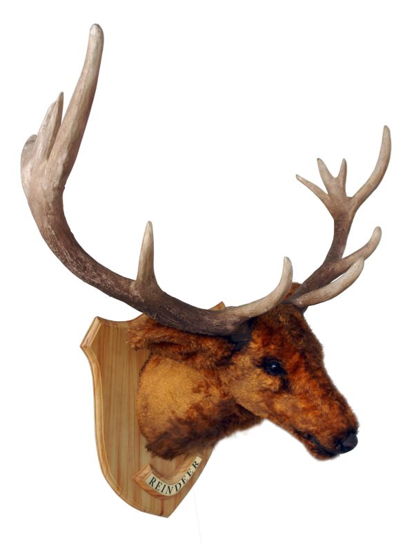 REINDEER HEAD ON PLATE
