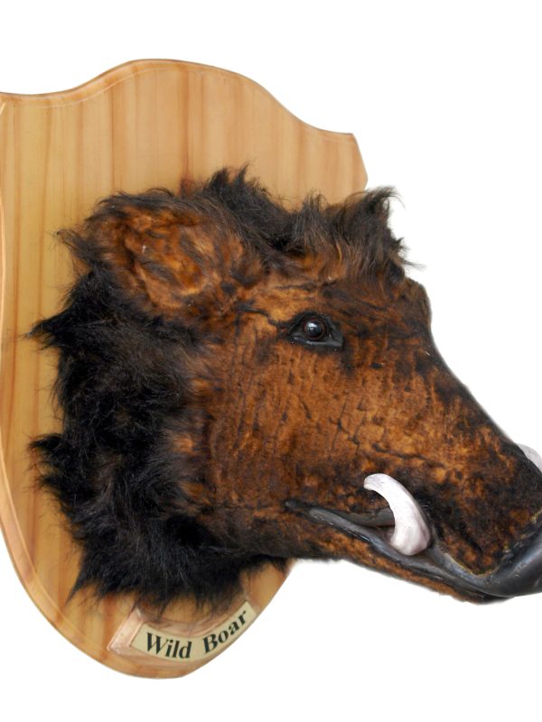 WILD BOAR HEAD ON PLATE