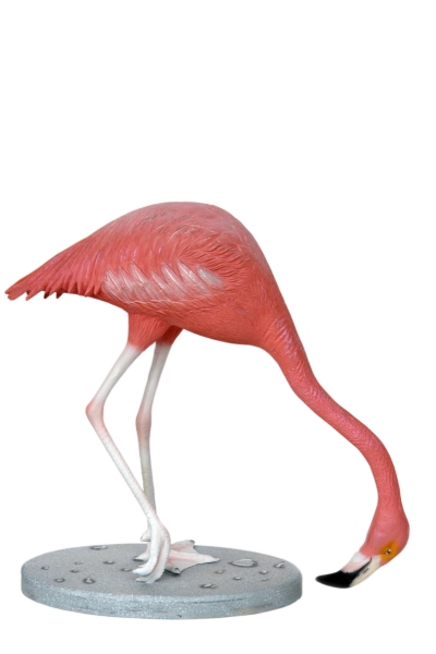 FLAMINGO HEAD DOWN