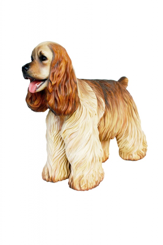 ENGLISH COCKER SPANIEL