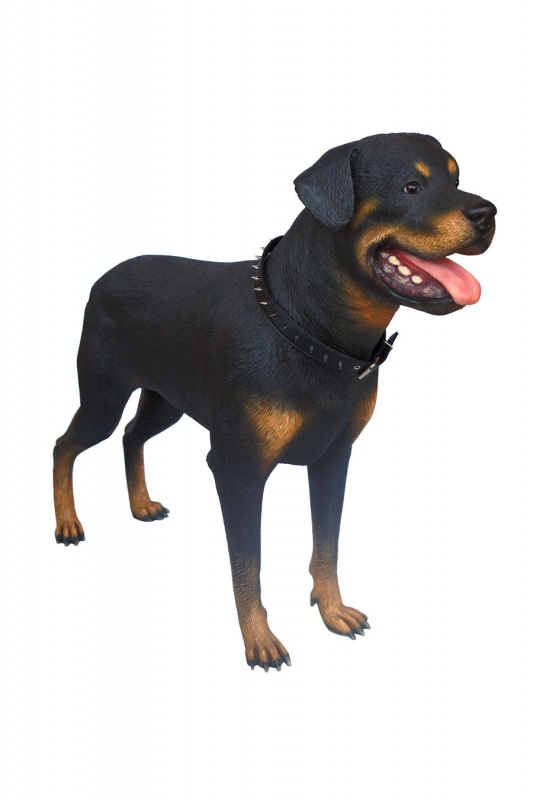 ROTWEILER