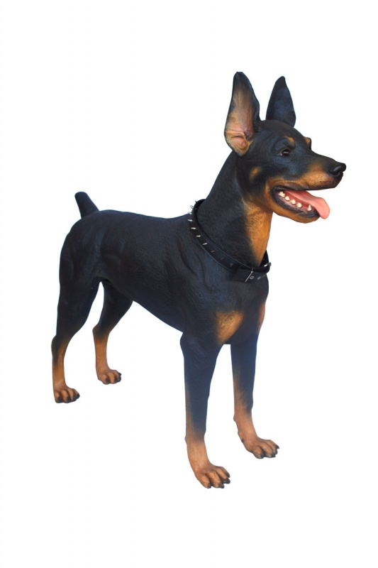DOBERMAN